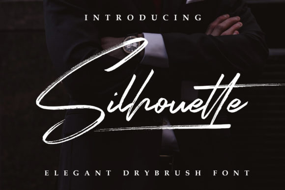 How Silhouette Elegant Font Elevates My Brand