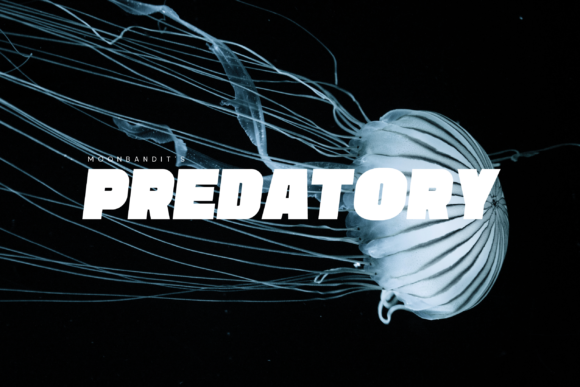 Predatory: A Bold Font for Dynamic Design