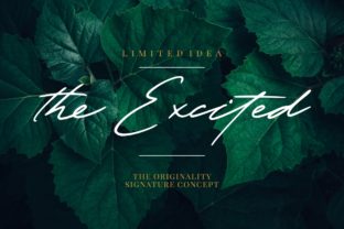 The Excited Font for Bold Branding